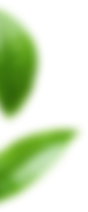 blaadje