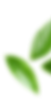 blaadje