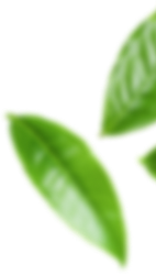 blaadje